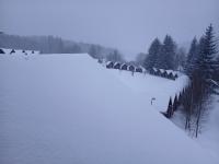 20250112_075903 (1024x768).jpg